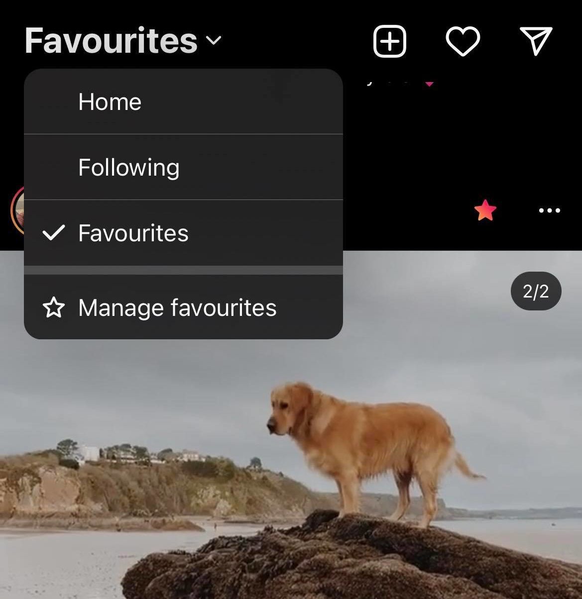 instagram-chronological-feed