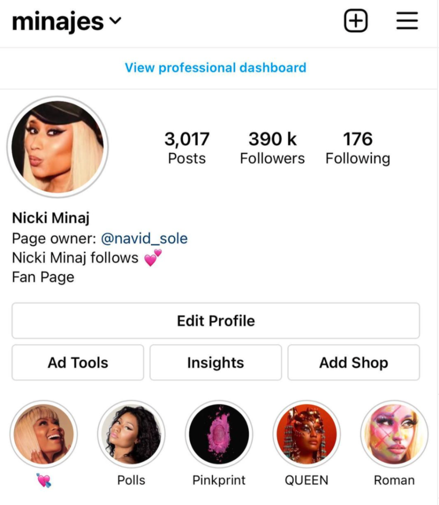 apprentice-2022-cast-instagrams-nicki-minaj