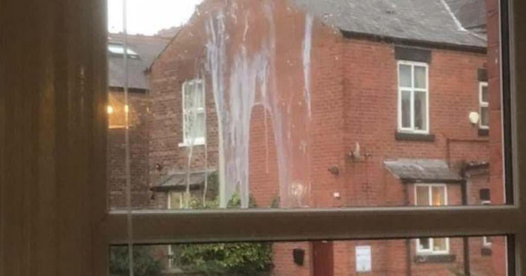 Egg on a window