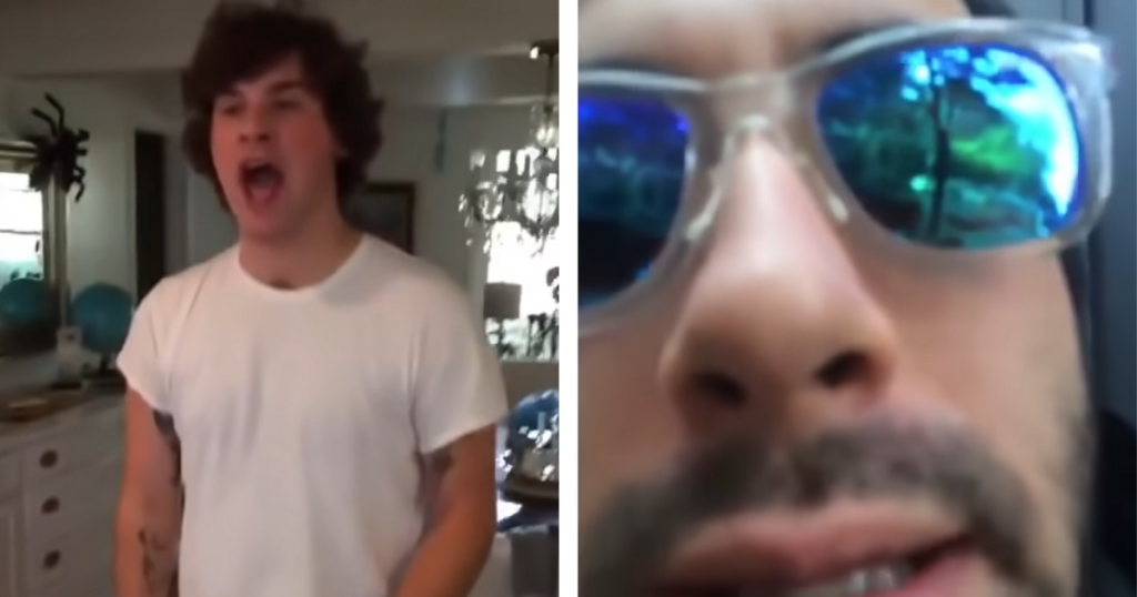 vine