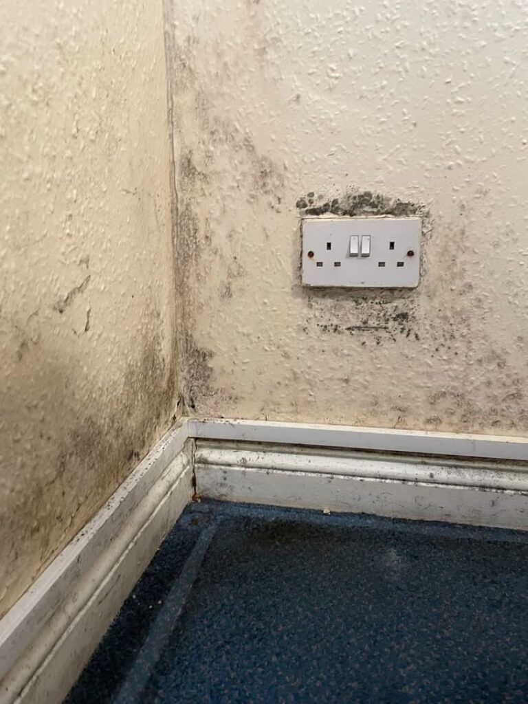 university students mould
