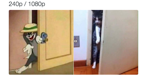 tumblr_oe0wh3utqk1rhk3pjo1_500