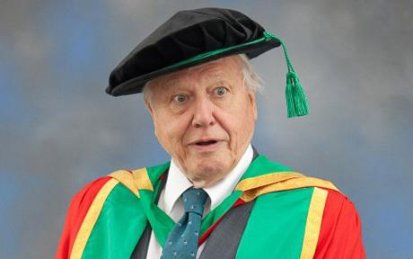 hon_grads2