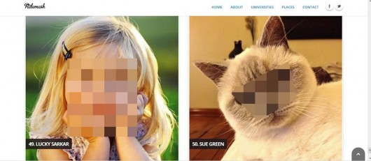 The site even invites users to rate cats and babies