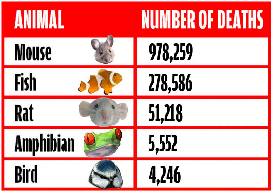dead animals