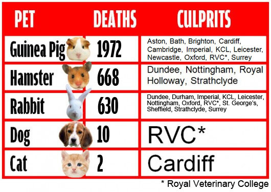 dead pets