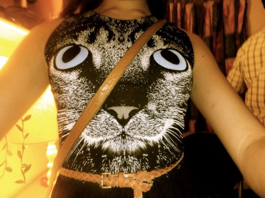 cat3