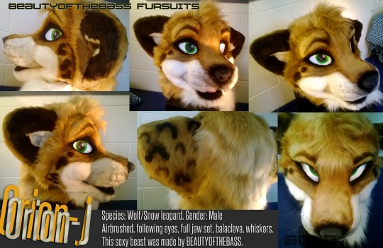 One of Amy's furheads, which she makes and sells for around £400