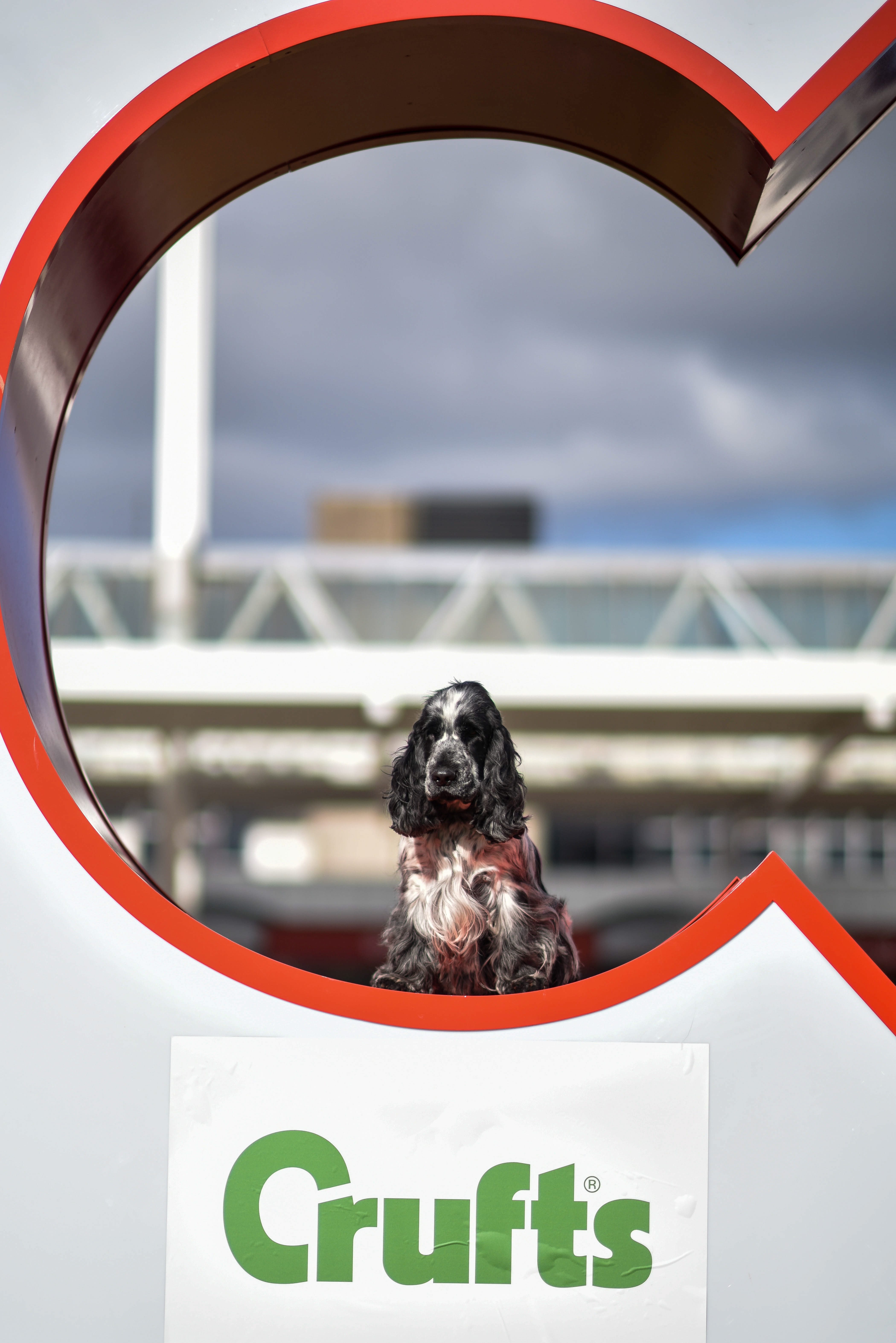 NTI_CRUFTS_PHOTOCALL_19