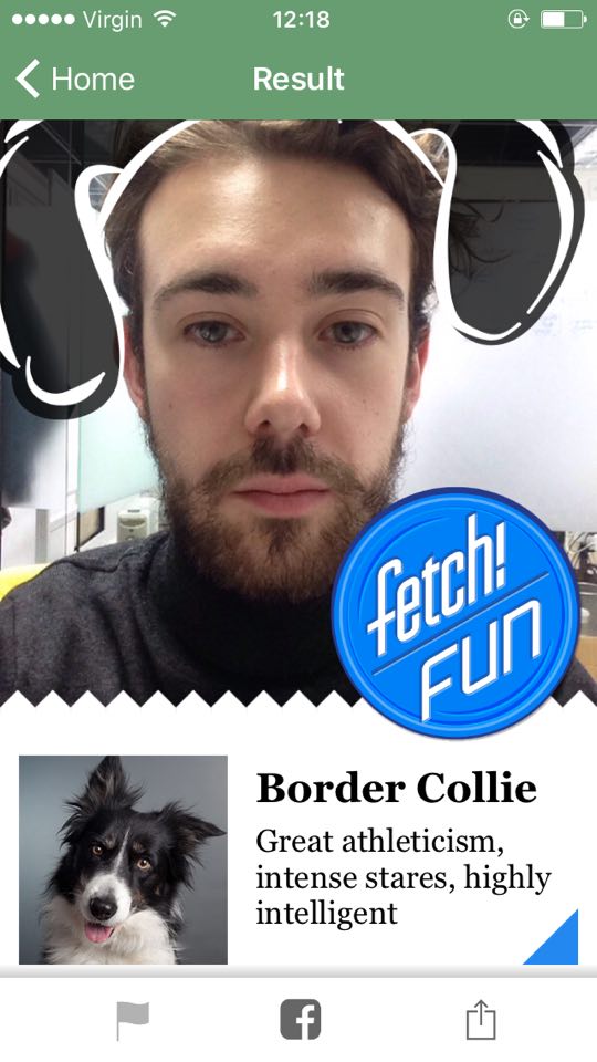 dogapp1