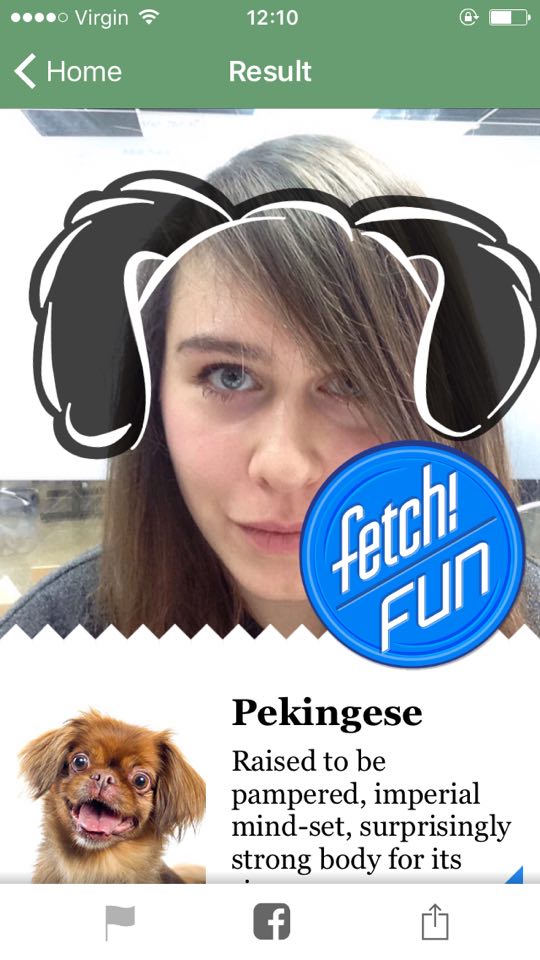 dogapp2