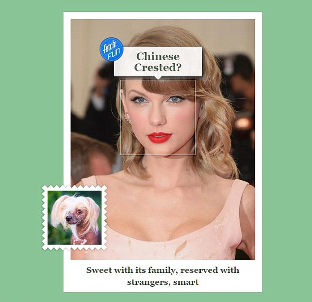 tay