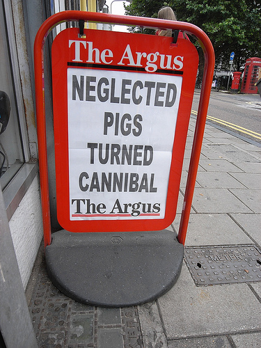 the argus neglected pigs turned cannibal crazy headline