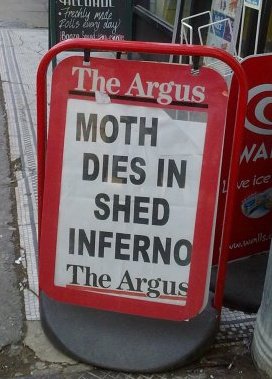 the argus moth dies in shed inferno crazy headline