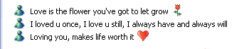 msnlove