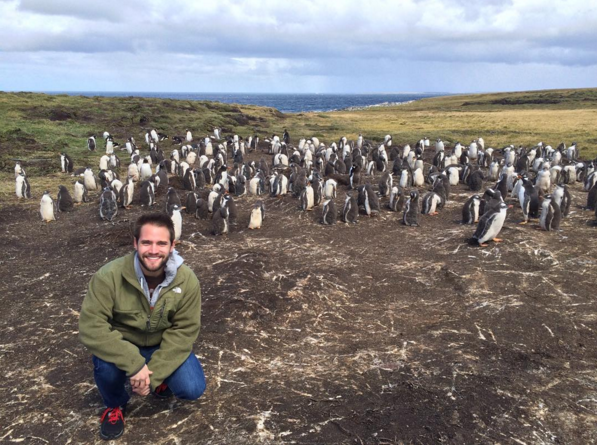 Yeah there's a lot of penguins. Photo: @chadcampbell26