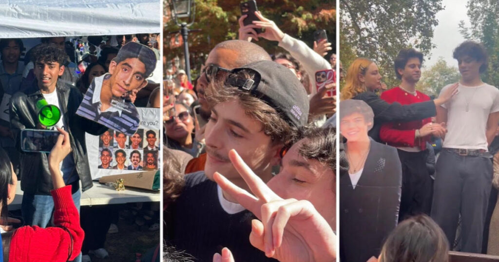 ranked celebrity lookalike competitions