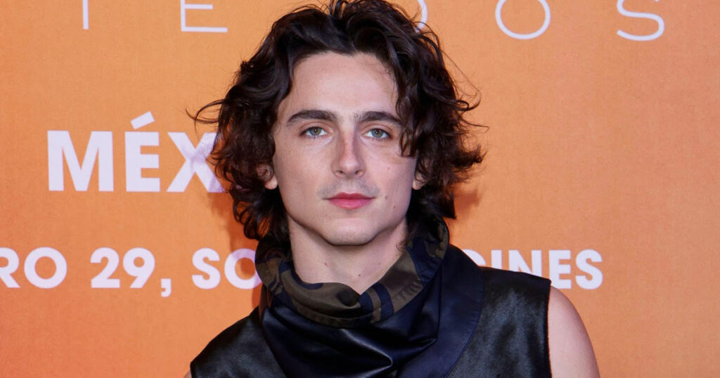 Timothée Chalamet right body
