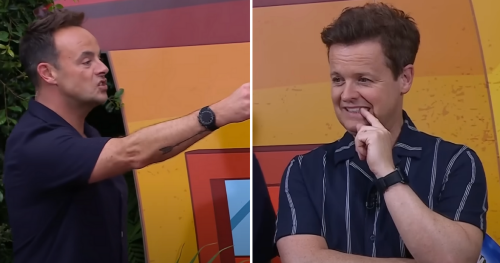 I'm A Celeb watches ant and dec