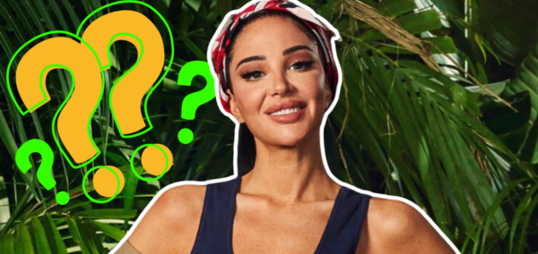 Tulisa demisexual