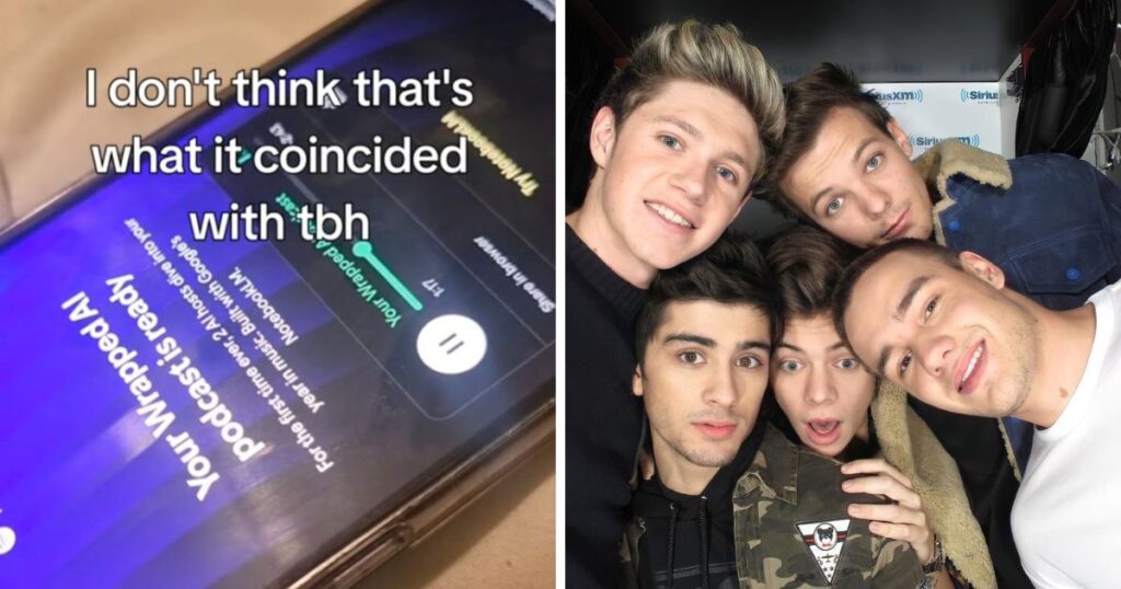 one direction ai spotify wrapped