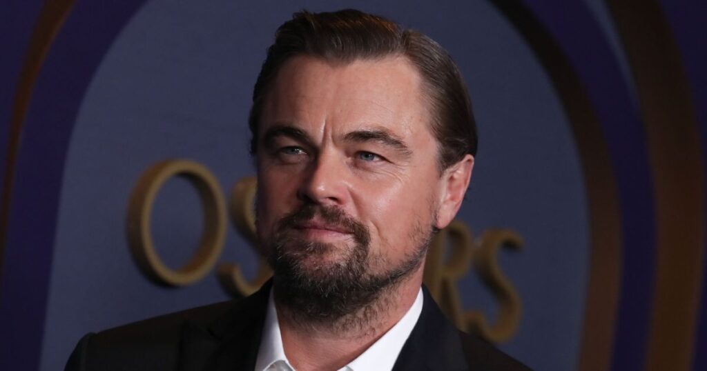 leonardo dicaprio la fires jet private