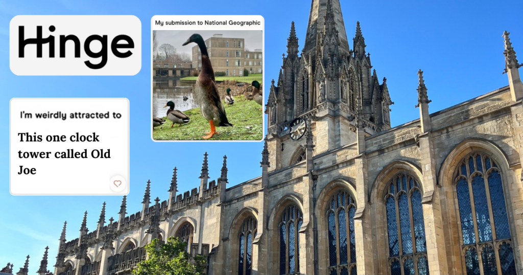 russell group unis hinge profiles uk unis