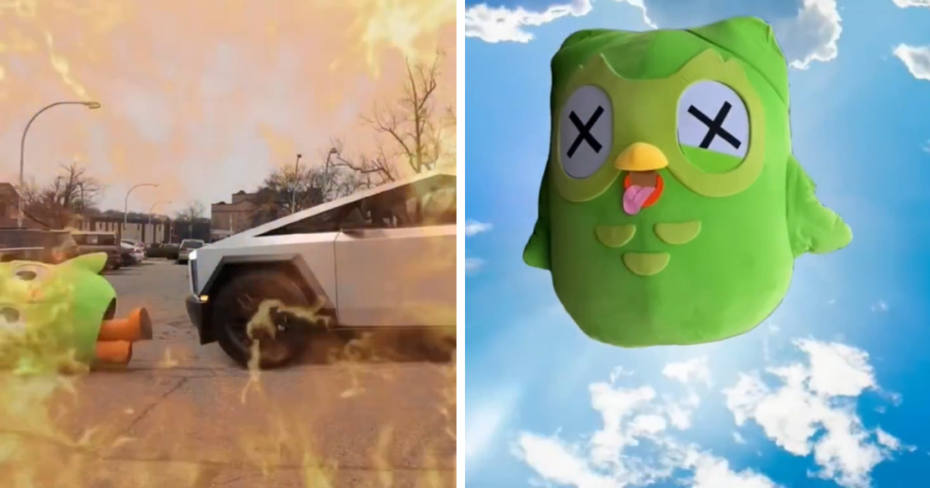 duo the duolingo owl died dead deceased cause of death