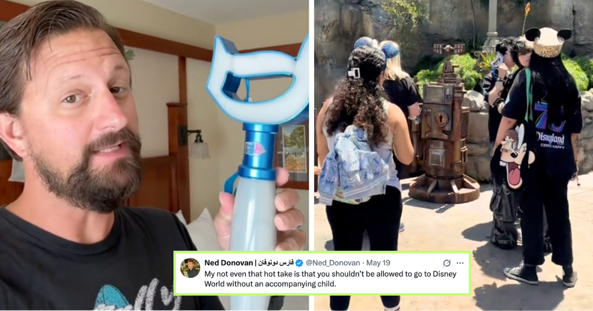 Disney adults are getting dragged again after splashing money on ‘deluded’ magical experience