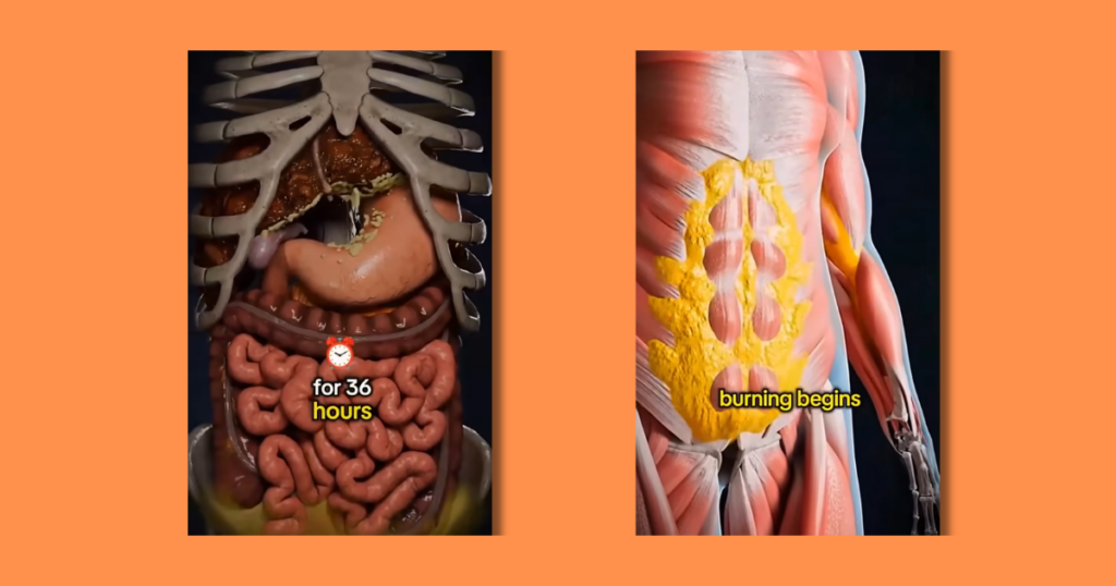 effects of fasting video