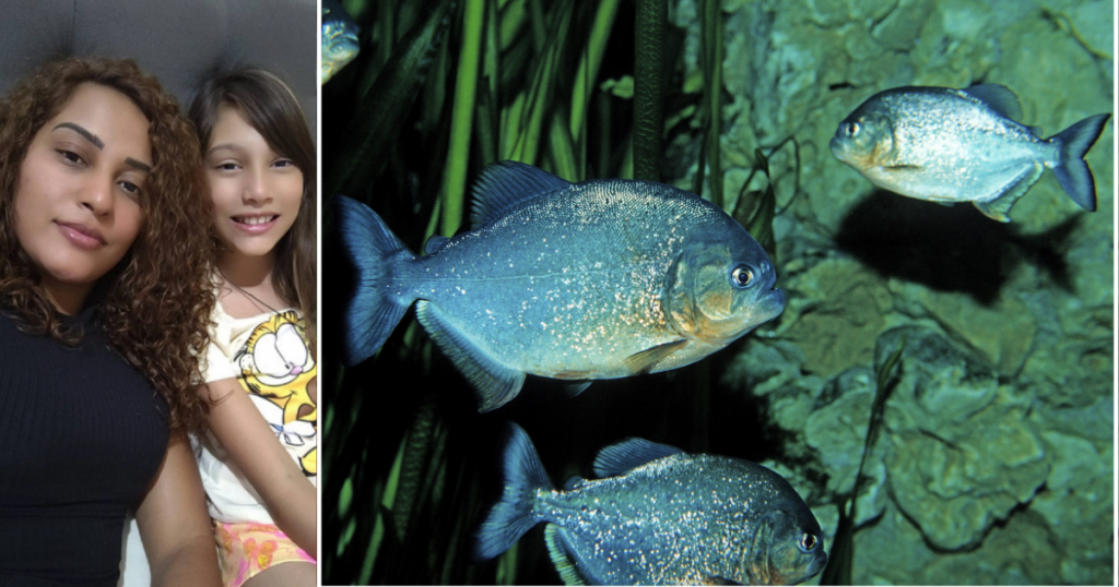 Piranha and girl attacked