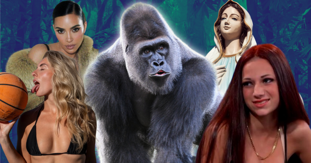 Gorilla