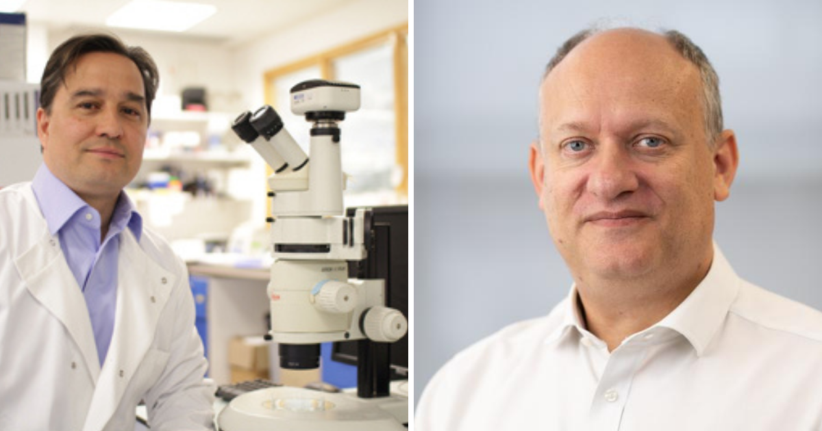Two KCL academics recognised in the King's Birthday Honours