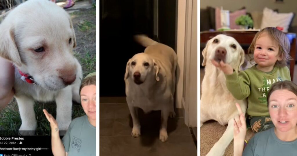 addison rae instagram handle