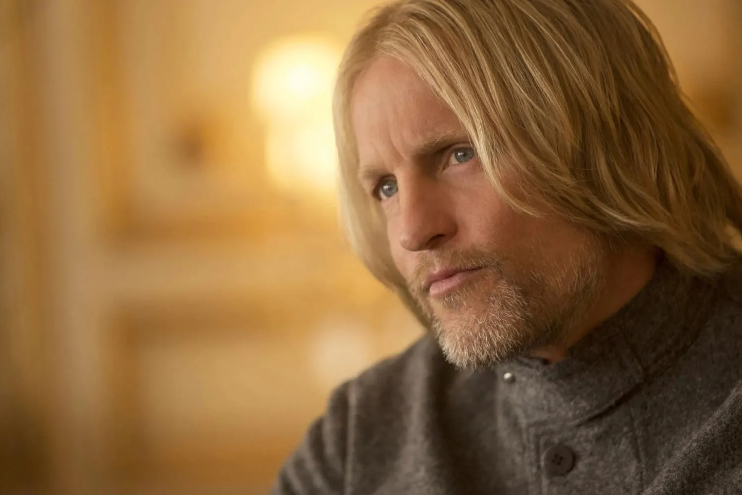 haymitch in the hunger games