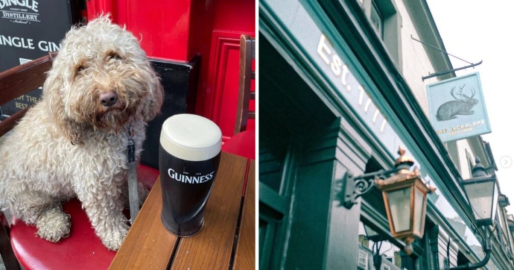 best pubs Westminster