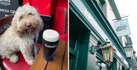 best pubs Westminster