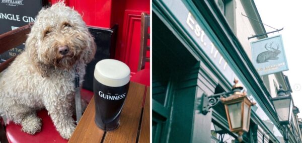 best pubs Westminster