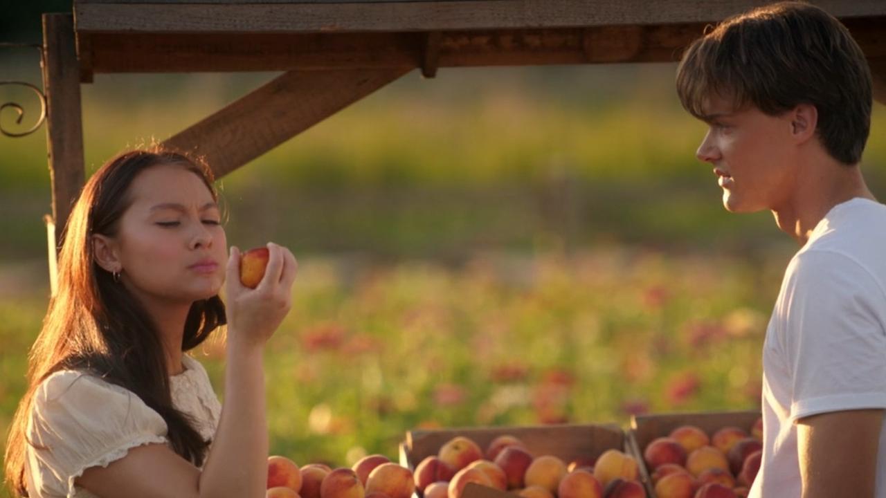 The Summer I Turned Pretty book peach scene