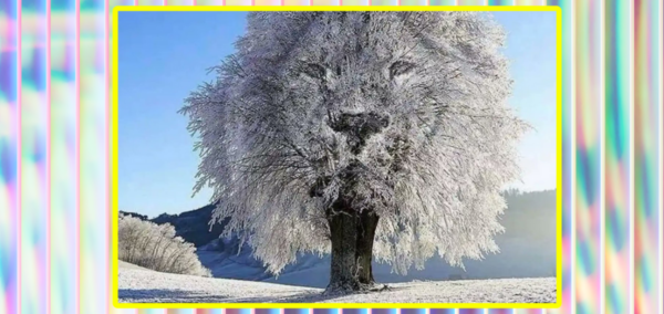 Lion or frozen tree optical illusion