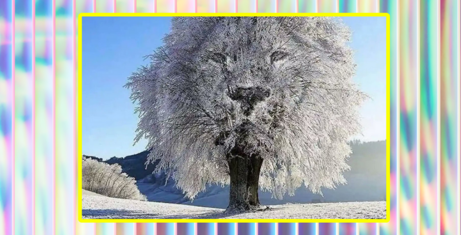 Lion or frozen tree optical illusion