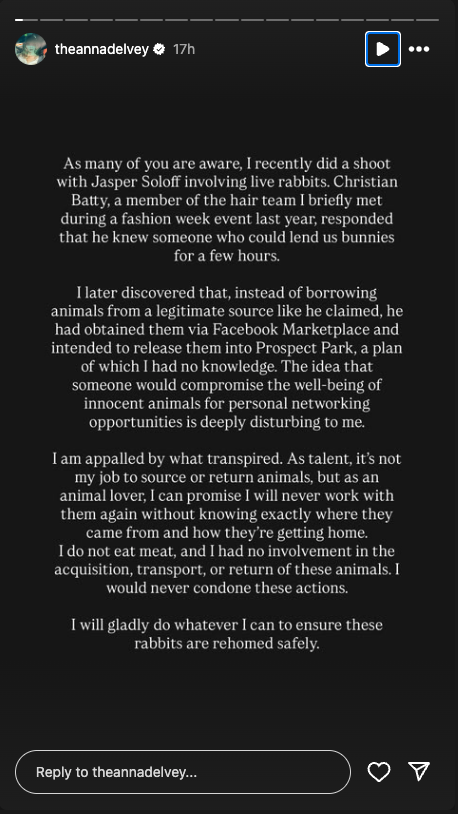 Anna Delvey's Instagram story about the rabbits in the park