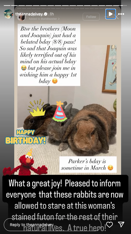Anna Delvey's Instagram story