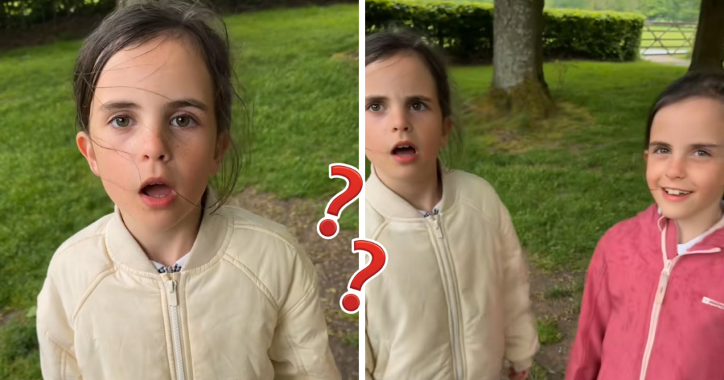 Ice cream rant twins now