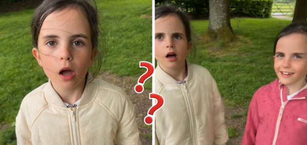 Ice cream rant twins now