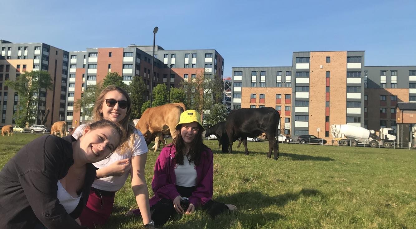 students at the uni of newcastle uk that is a russell group uni btw