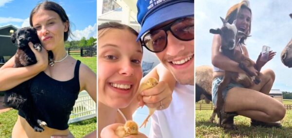 millie bobby brown and husband jake bongiovi's (and their new baby's?) farm