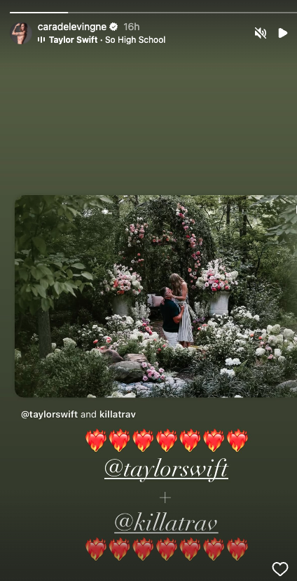 cara delevingne instagram story