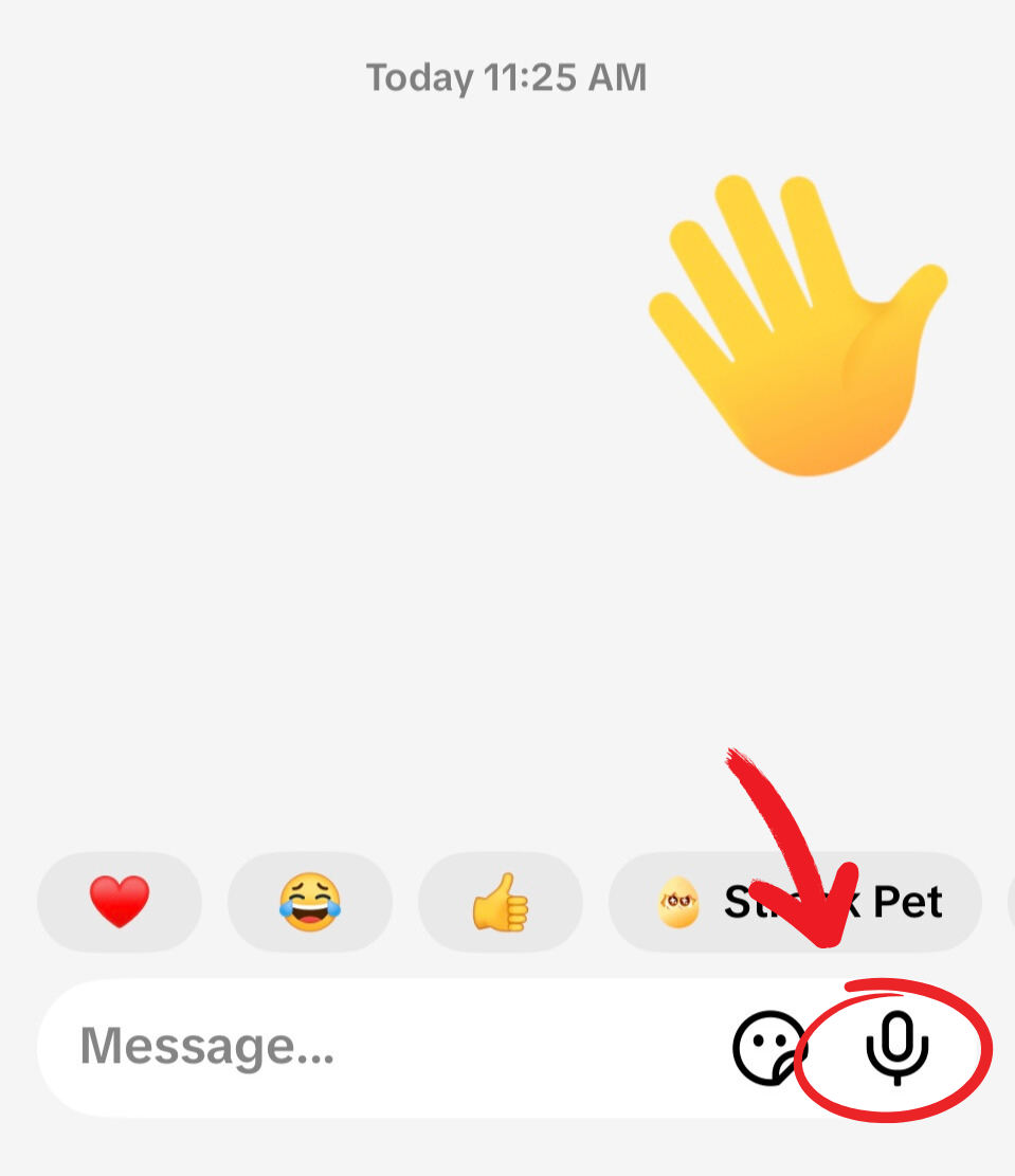 TikTok DM voice note feature