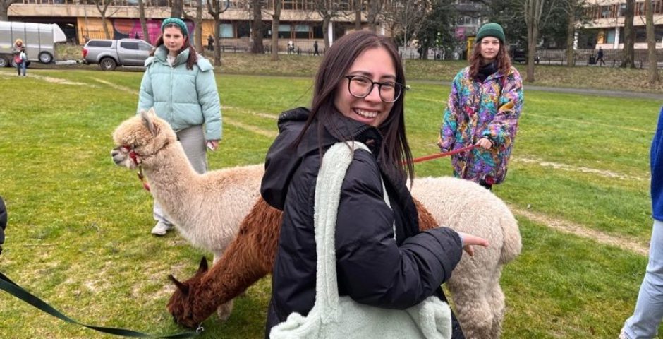 university of edinburgh students and some alpacas